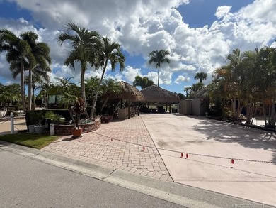 Luxury Motorcoach Lot with Dual Tikis - Move-In Ready! Located - photo 14