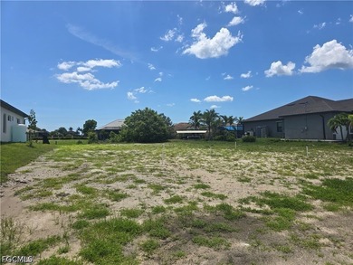 Nice and Cleared GULF ACCESS LOT with WESTERN Rear Exposure - photo 5
