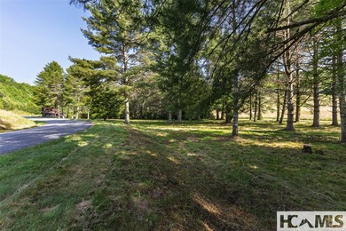 560 Salt Rock Rd in Cullowhee, North Carolina, is a 55.91-acre - photo 15