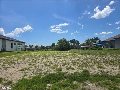 Nice and Cleared GULF ACCESS LOT with WESTERN Rear Exposure - photo 6