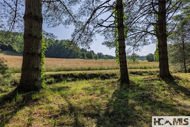 560 Salt Rock Rd in Cullowhee, North Carolina, is a 55.91-acre - photo 16