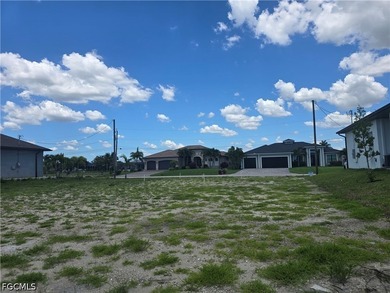 Nice and Cleared GULF ACCESS LOT with WESTERN Rear Exposure - photo 8