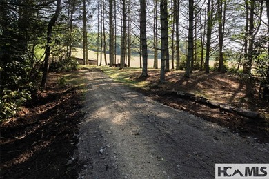 560 Salt Rock Rd in Cullowhee, North Carolina, is a 55.91-acre - photo 19
