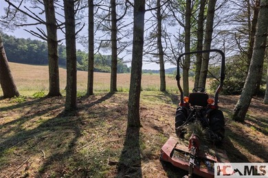 560 Salt Rock Rd in Cullowhee, North Carolina, is a 55.91-acre - photo 20
