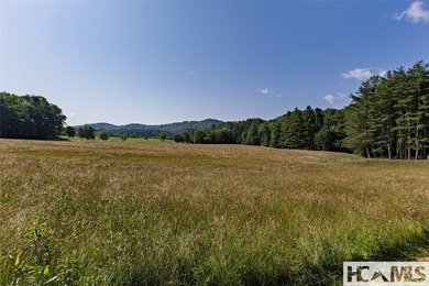 560 Salt Rock Rd in Cullowhee, North Carolina, is a 55.91-acre - photo 21