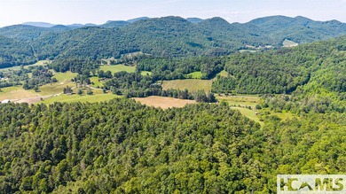 560 Salt Rock Rd in Cullowhee, North Carolina, is a 55.91-acre - photo 28
