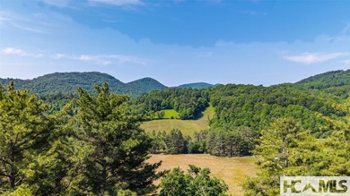 560 Salt Rock Rd in Cullowhee, North Carolina, is a 55.91-acre - photo 29