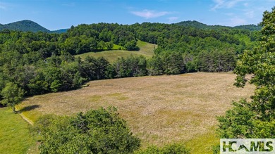 560 Salt Rock Rd in Cullowhee, North Carolina, is a 55.91-acre - photo 30