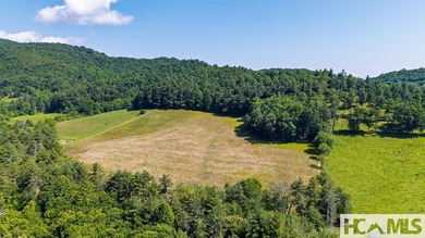 560 Salt Rock Rd in Cullowhee, North Carolina, is a 55.91-acre - photo 31