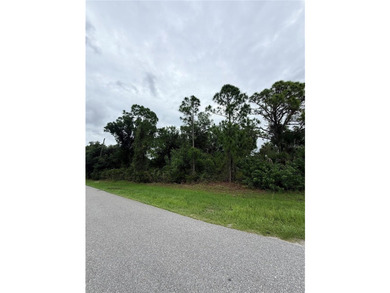 Build your dream home on this oversized double lot offering over - photo 5