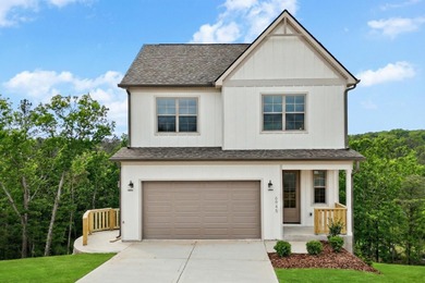 Chickamauga Lake Home For Sale in Ooltewah Tennessee