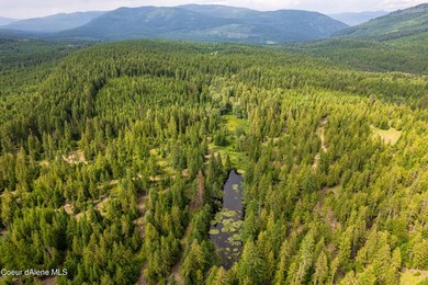 Discover your North ID mountain retreat on this exceptional - photo 1