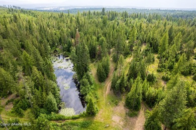 Discover your North ID mountain retreat on this exceptional - photo 2