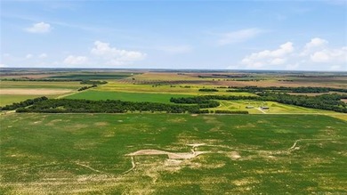 Welcome to this exceptional 160 mol acre farm property offering - photo 2