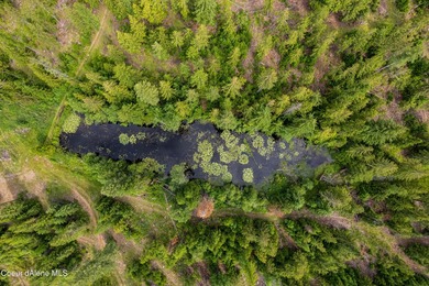 Discover your North ID mountain retreat on this exceptional - photo 3
