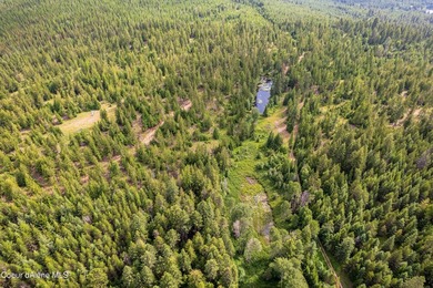 Discover your North ID mountain retreat on this exceptional - photo 5