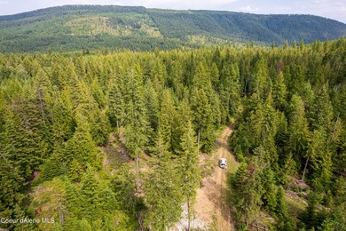 Discover your North ID mountain retreat on this exceptional - photo 6