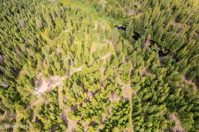 Discover your North ID mountain retreat on this exceptional - photo 7
