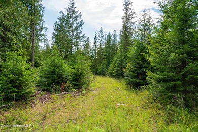 Discover your North ID mountain retreat on this exceptional - photo 8