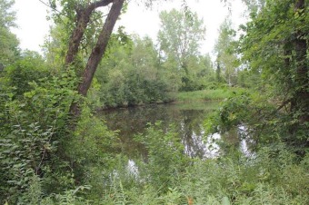 (private lake, pond, creek) Acreage For Sale in Neshkoro Wisconsin