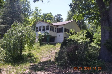 Lake Home For Sale in Dowagiac, Michigan