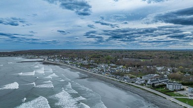 Experience the best of beachside living in this newly remodeled - photo 44