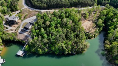 You know how some lake lots can feel a bit cramped? This one is - photo 1