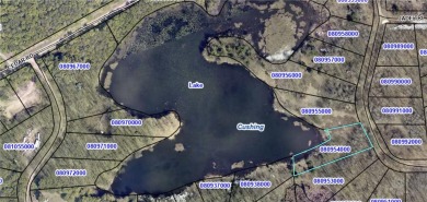 (private lake, pond, creek) Lot For Sale in Cushing Twp Minnesota
