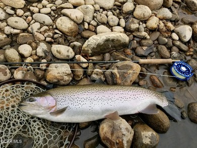 Fraser River Ranch is a rare 176-acre live-water ranch featuring - photo 2