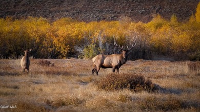 Fraser River Ranch is a rare 176-acre live-water ranch featuring - photo 7