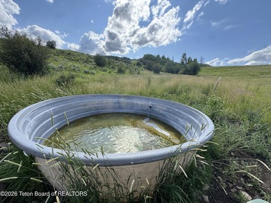 Dream property nestled in the elevated hills above the town of - photo 1