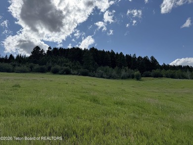 Dream property nestled in the elevated hills above the town of - photo 5