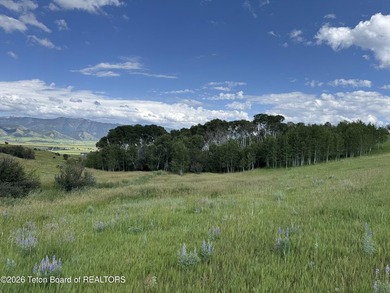 Dream property nestled in the elevated hills above the town of - photo 7