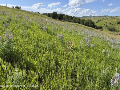 Dream property nestled in the elevated hills above the town of - photo 9