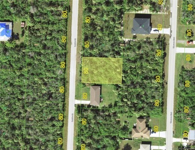 Great location, just minutes to the center of Murdock, the main - photo 1