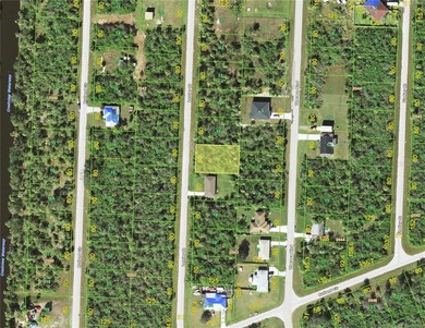 Great location, just minutes to the center of Murdock, the main - photo 2