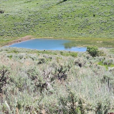 (private lake, pond, creek) Acreage For Sale in Gateway Colorado
