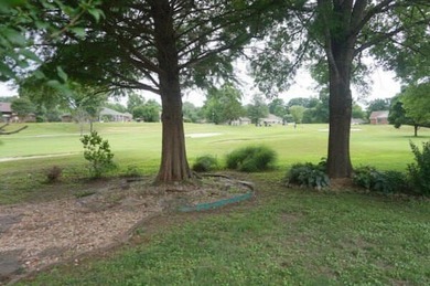 THIS IS A GREAT ''ALL ONE LEVEL'' RANCH.... LOCATED ON A - photo 6