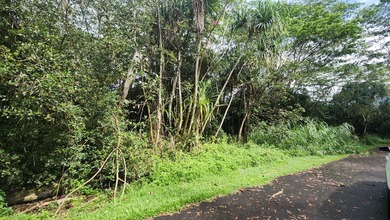 Vacant wooded lot on a quiet, dead-end street in Hawaiian Shores - photo 1