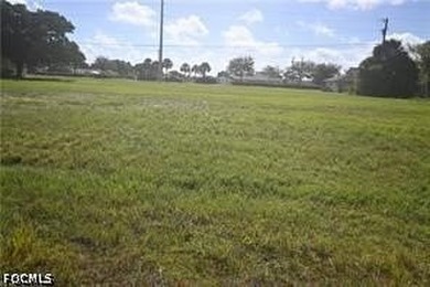 Outstanding opportunity to own a prime commercial triple lot - photo 1