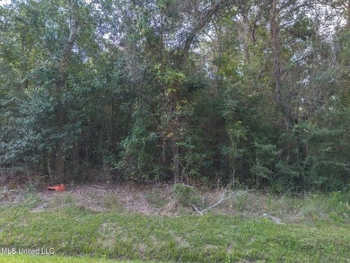 Two Stunning Lots to build Your Dream Home or Investment - photo 1
