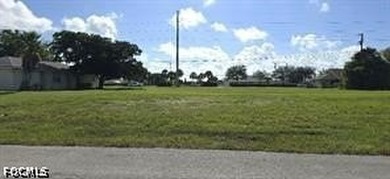 Outstanding opportunity to own a prime commercial triple lot - photo 2