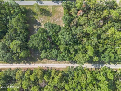 Two Stunning Lots to build Your Dream Home or Investment - photo 4