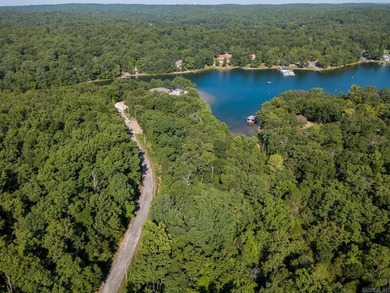 Welcome to the market this beautiful lot on Lake Omaha, in the - photo 6
