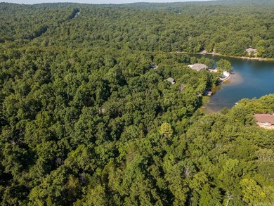 Welcome to the market this beautiful lot on Lake Omaha, in the - photo 7