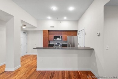 Urban oasis in the heart of Downtown New Haven! Welcome to The