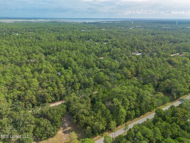 Two Stunning Lots to build Your Dream Home or Investment - photo 10
