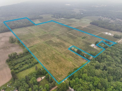 Lake Michigan - Berrien County Acreage For Sale in Benton Harbor Michigan