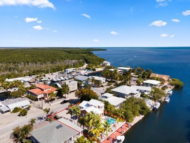 Waterfront home with deep canal and direct Atlantic Ocean access - photo 22