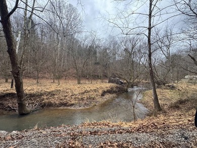 Spencer WV, 7.37 acre mostly wooded land at the confluence of - photo 2